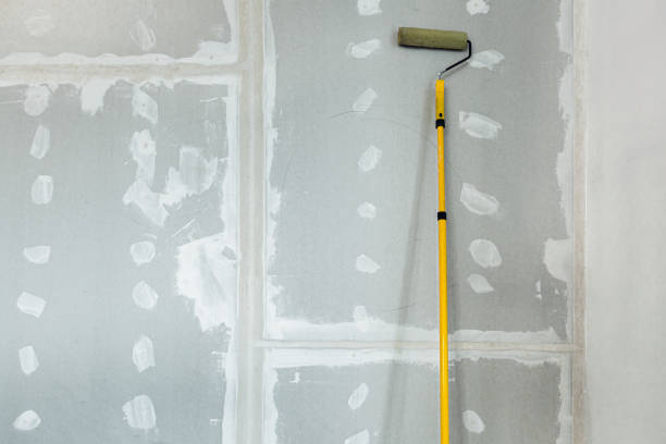 Best Mold Removal for HVAC Installations  in Union, KY