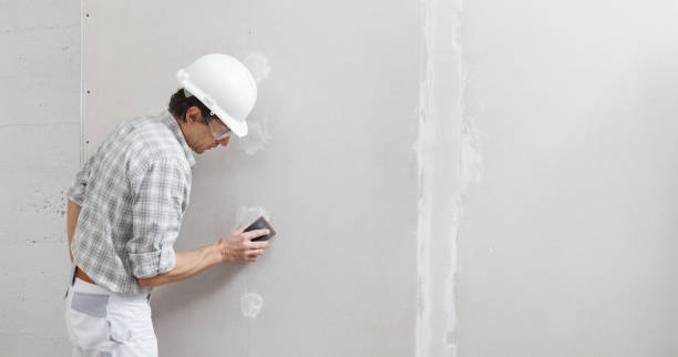 Professional Mold Removal in Union, KY