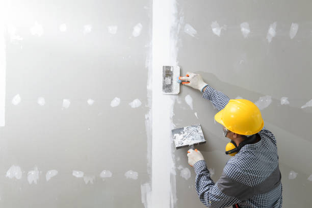 Best Biohazard Mold Removal  in Union, KY