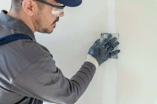 Best Industrial Mold Remediation  in Union, KY