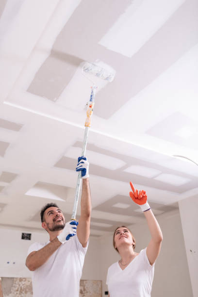  Union, KY Mold Removal Pros