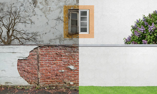Best Emergency Mold Remediation  in Union, KY