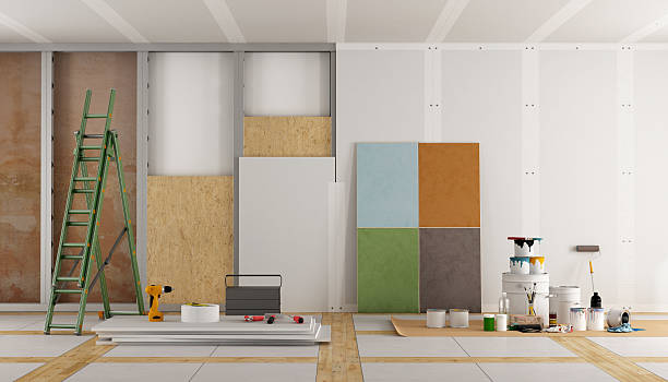 Best Mold Damage Restoration  in Union, KY