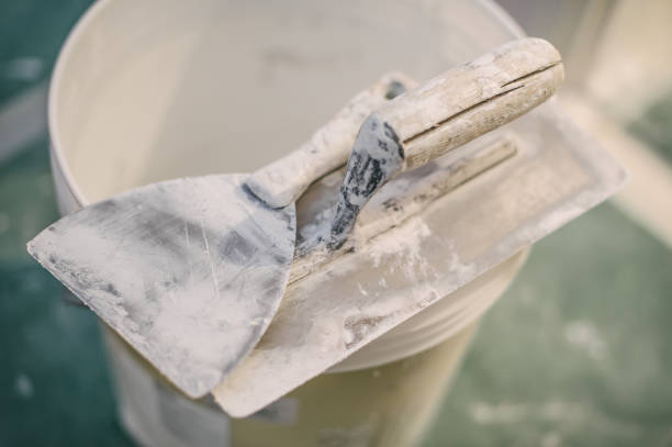 Best Attic Mold Removal  in Union, KY