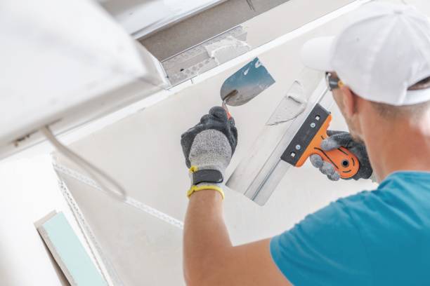 Best Mold Remediation for Healthcare Facilities  in Union, KY